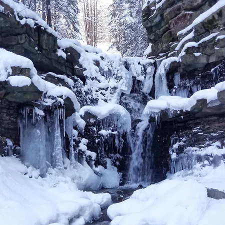 Z Jacuzzi, W Stylu Goralskim 펜션 자보자